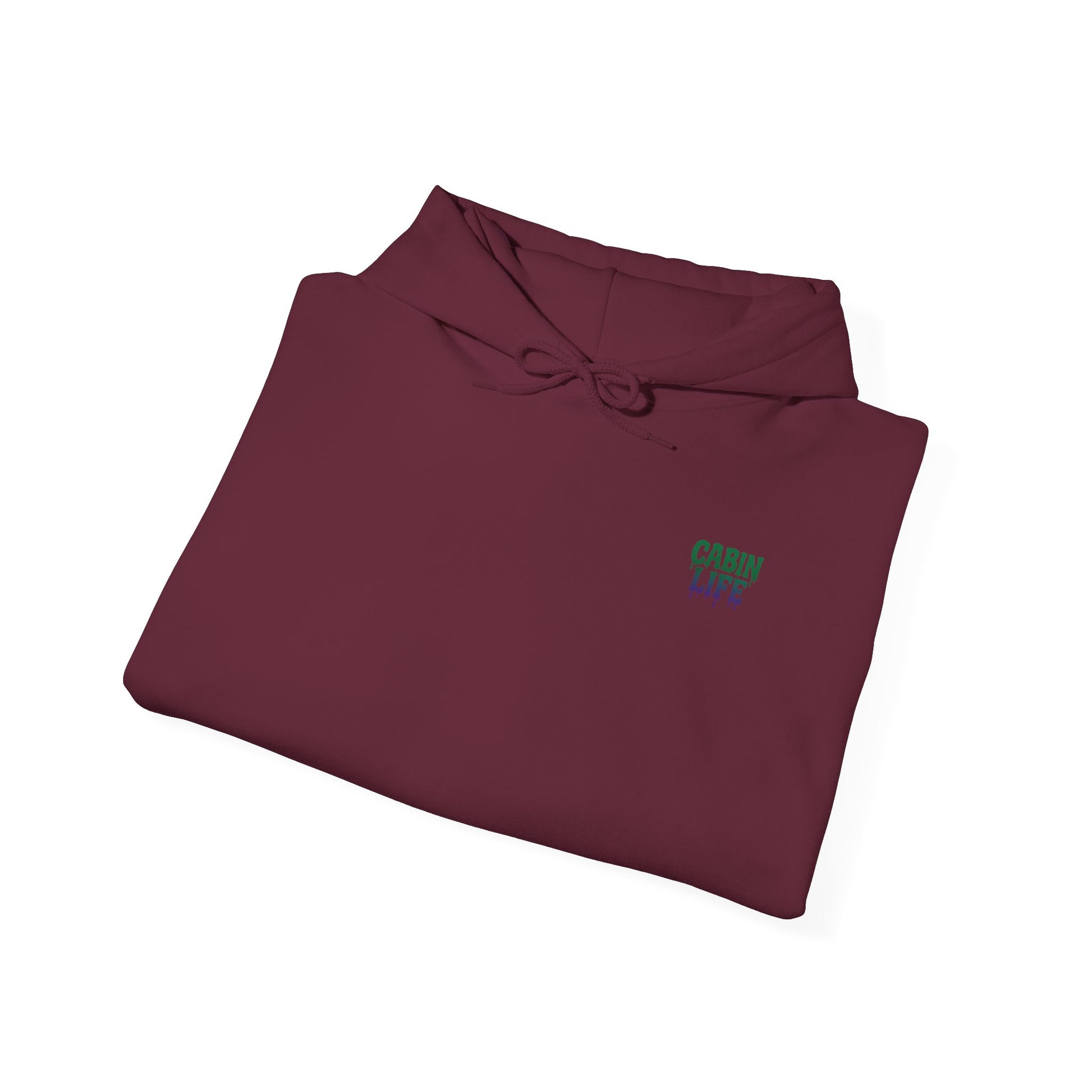 Cabin Life Streamscape Hoodie
