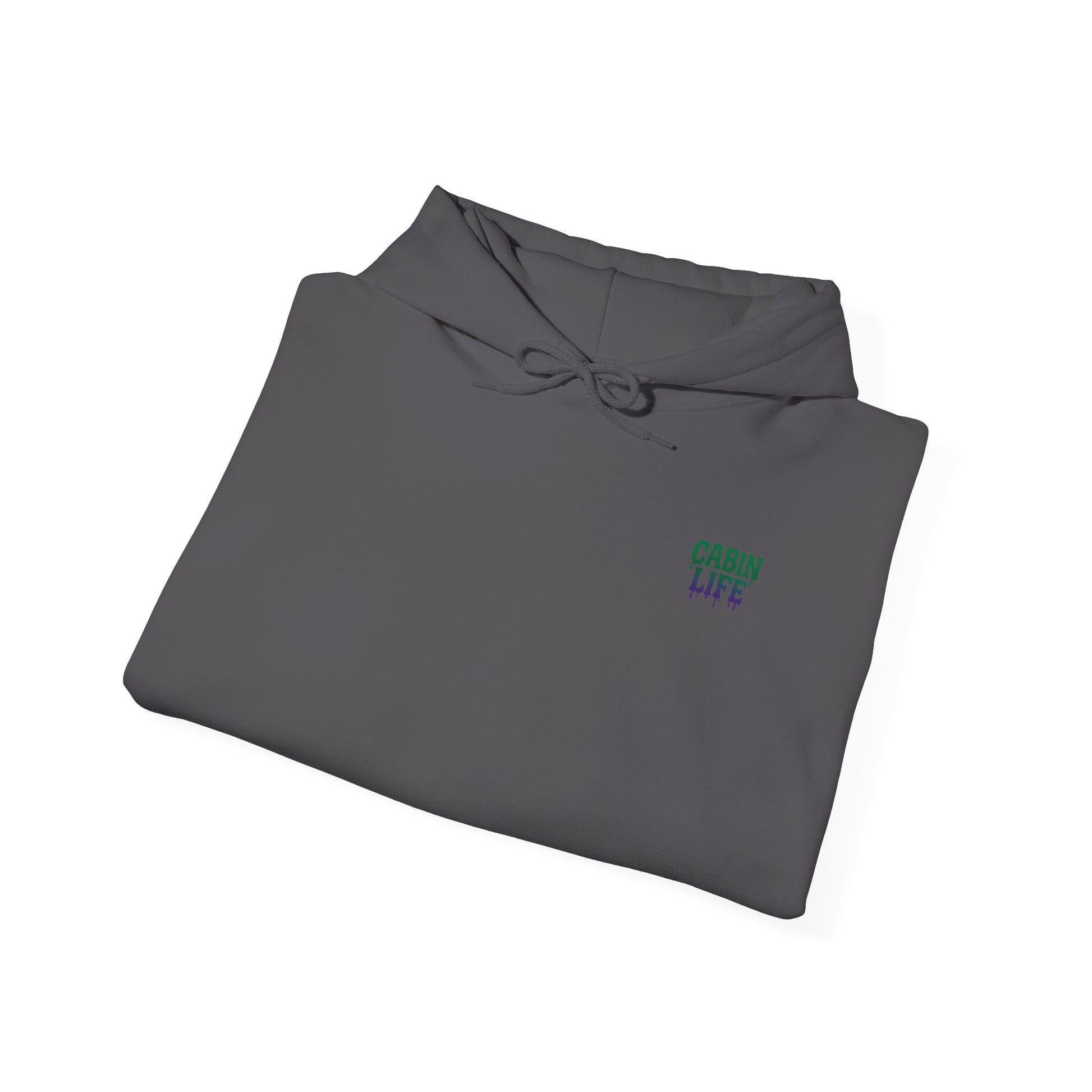 Cabin Life Streamscape Hoodie