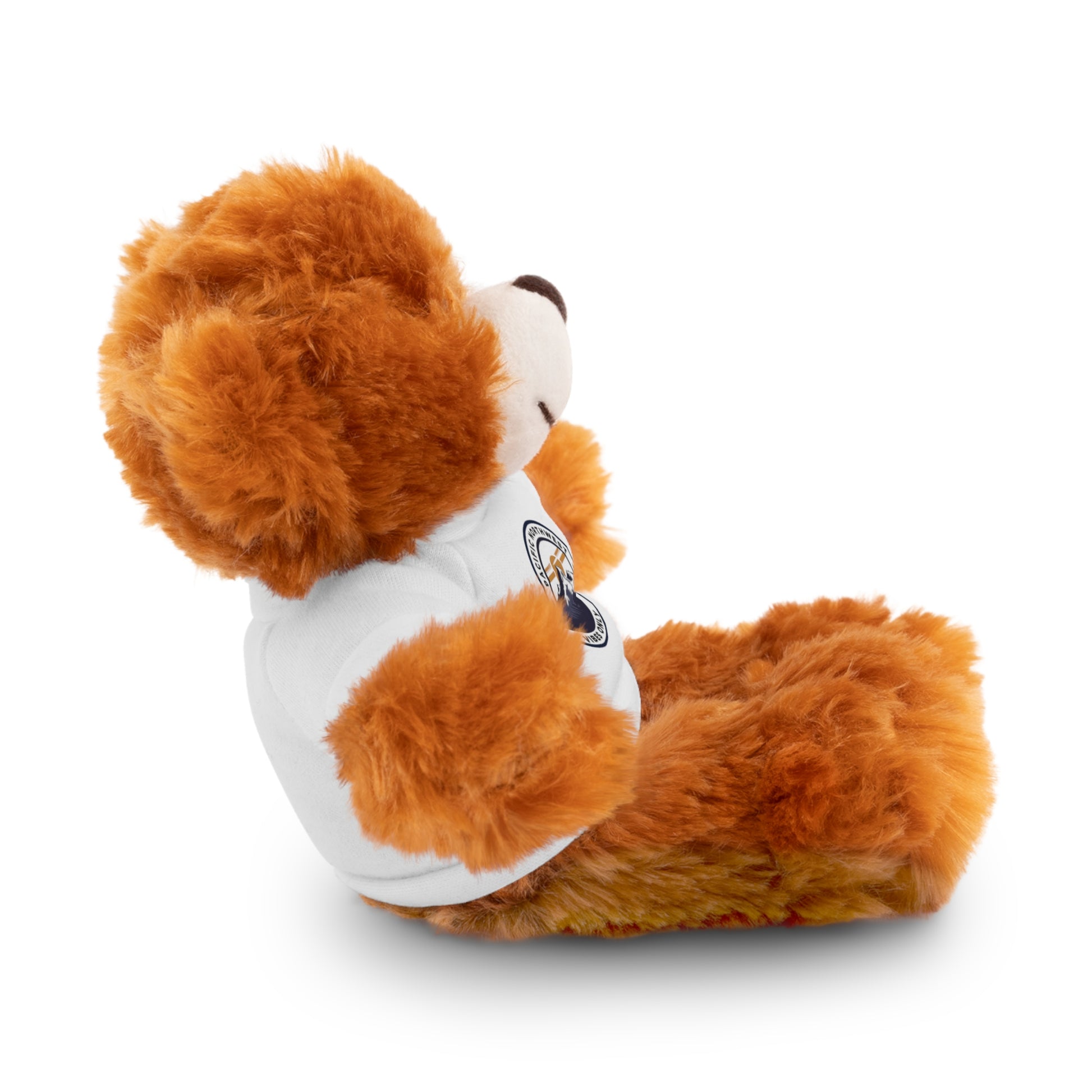 PNW Vibes Only Plush Bear