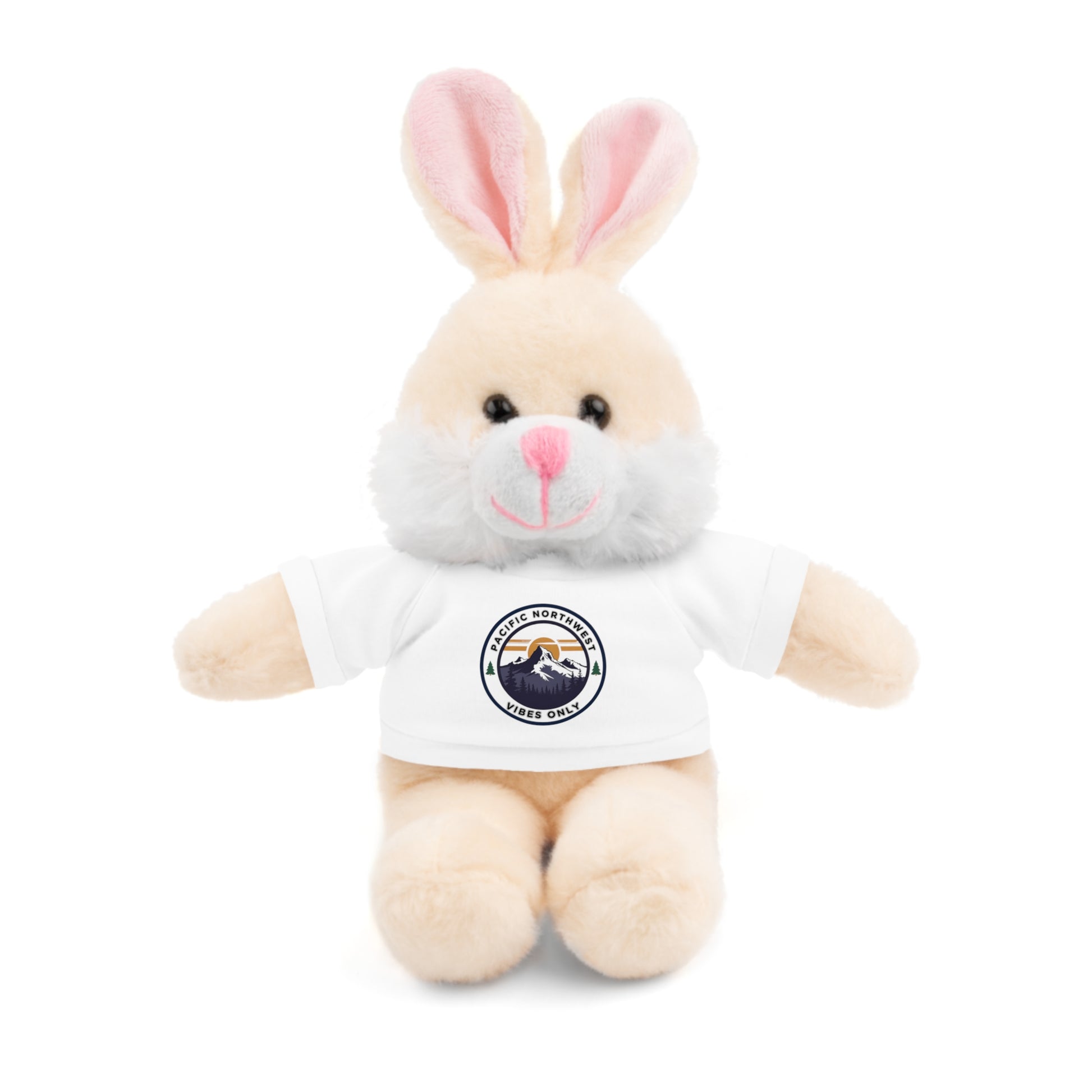 PNW Vibes Only Plush Bear