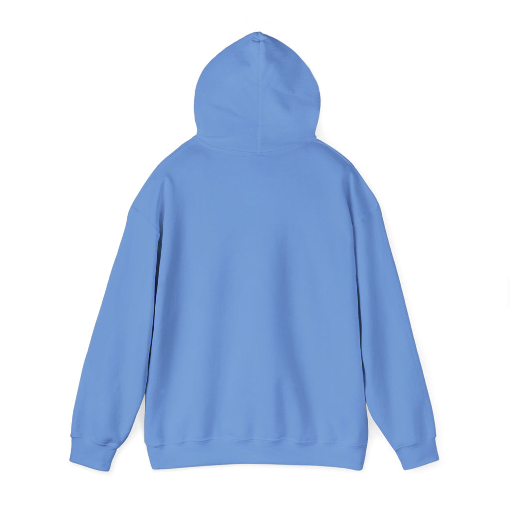 Support Your Local Peaks – PNW Vibes Hoodie