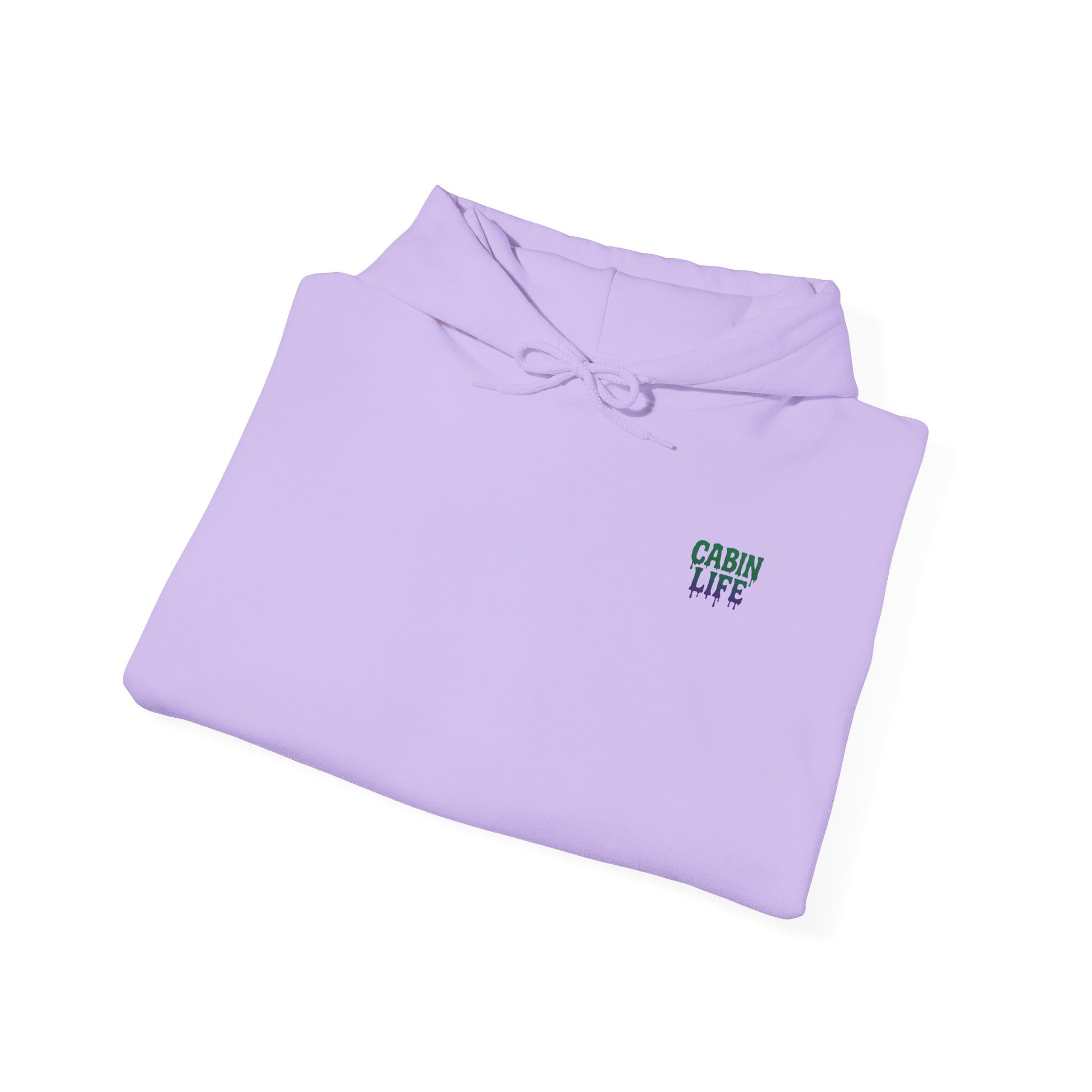 Cabin Life Streamscape Hoodie