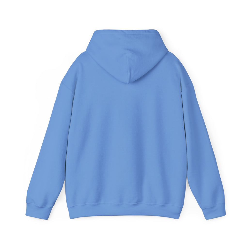 Support Your Local Peaks – PNW Vibes Hoodie