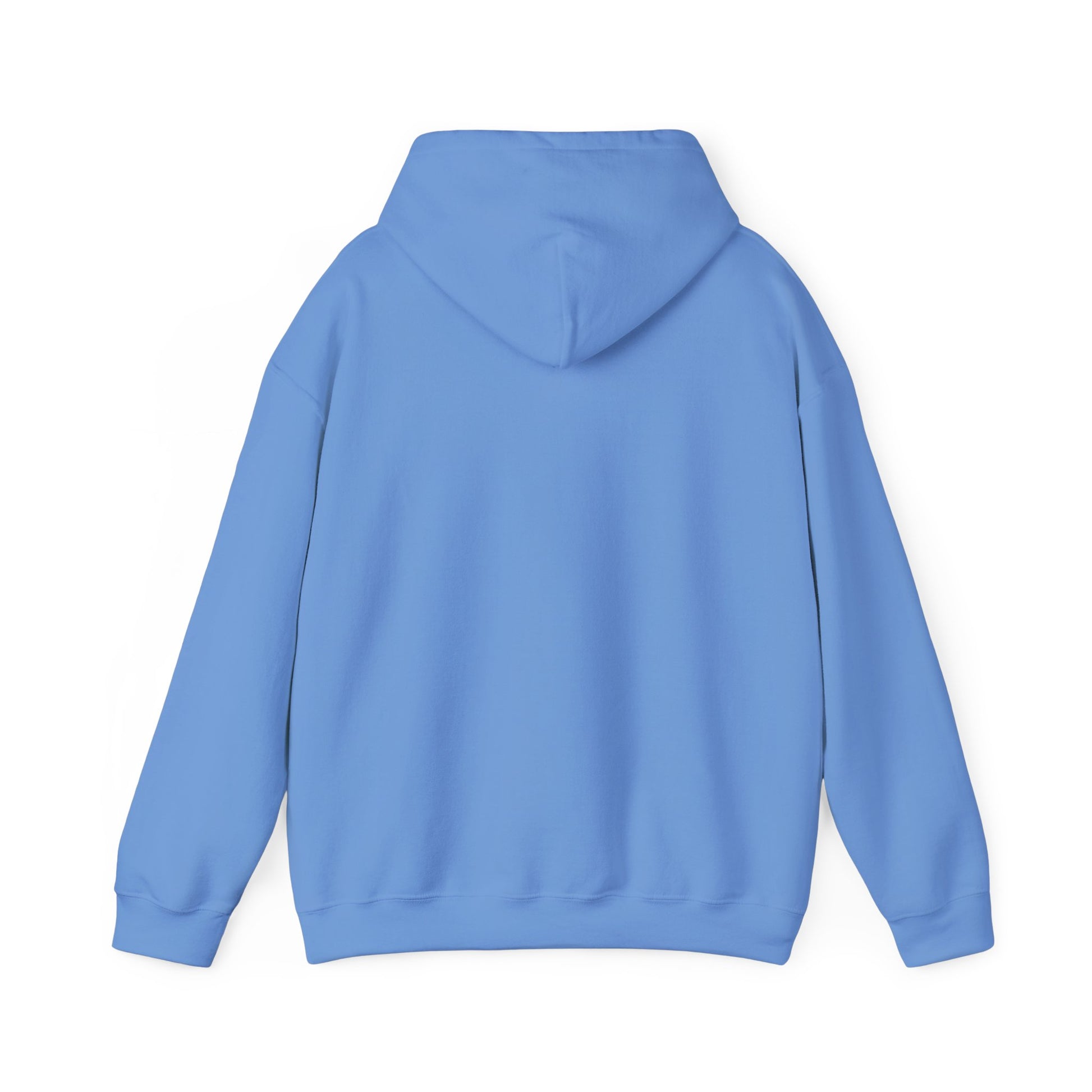 Support Your Local Peaks – PNW Vibes Hoodie
