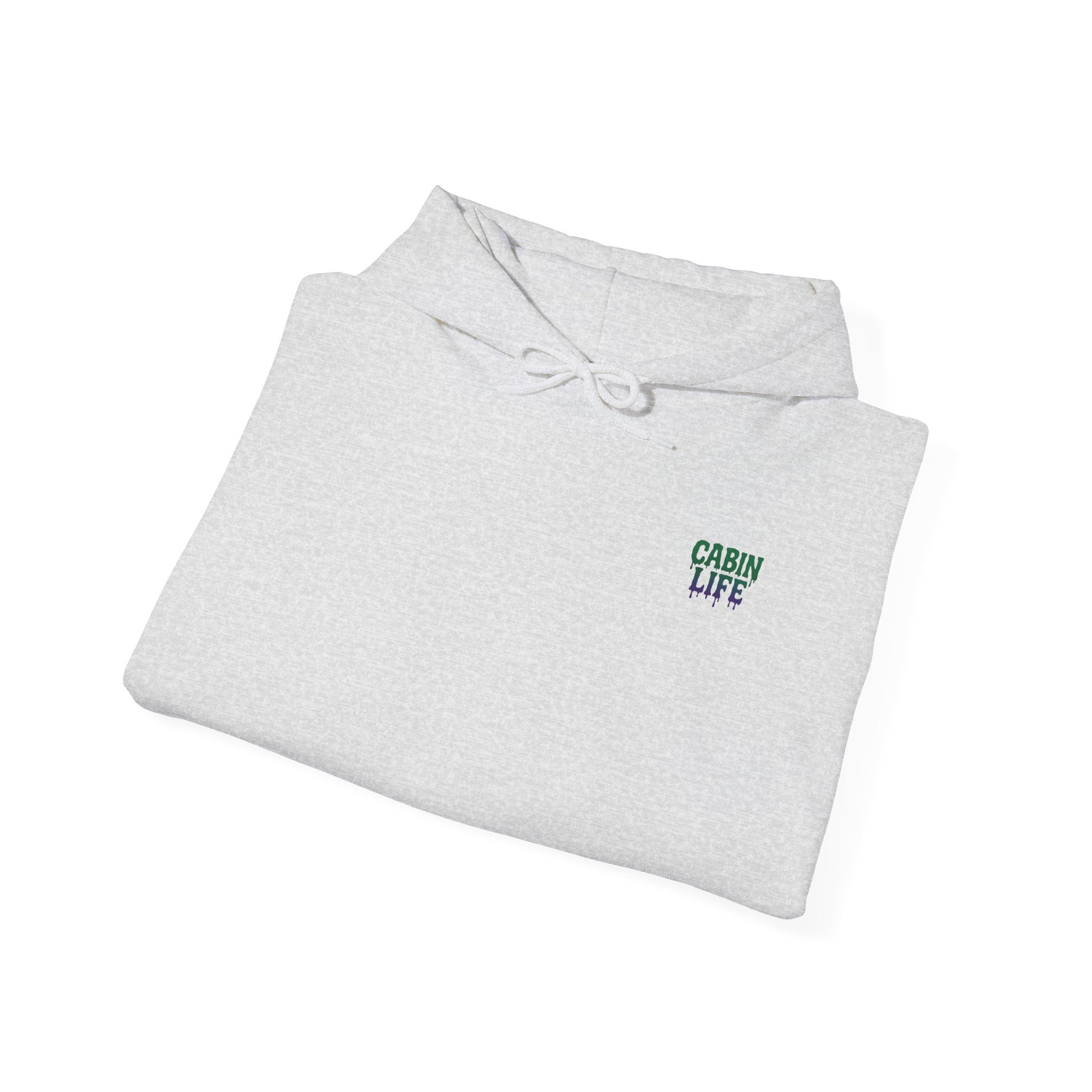 Cabin Life Streamscape Hoodie