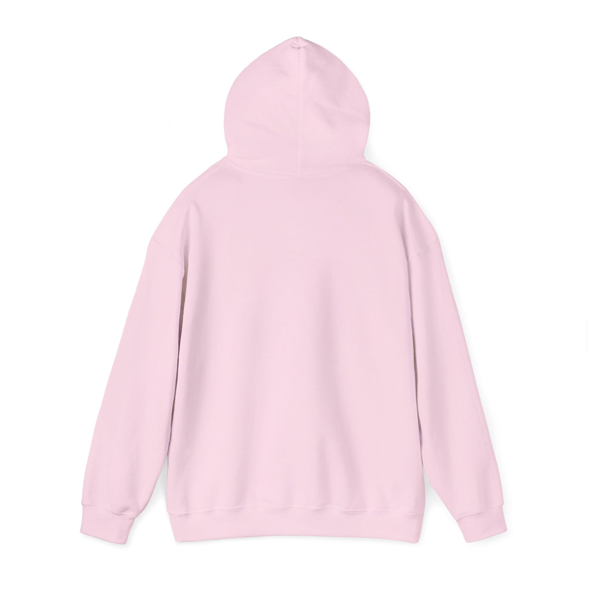 Support Your Local Peaks – PNW Vibes Hoodie