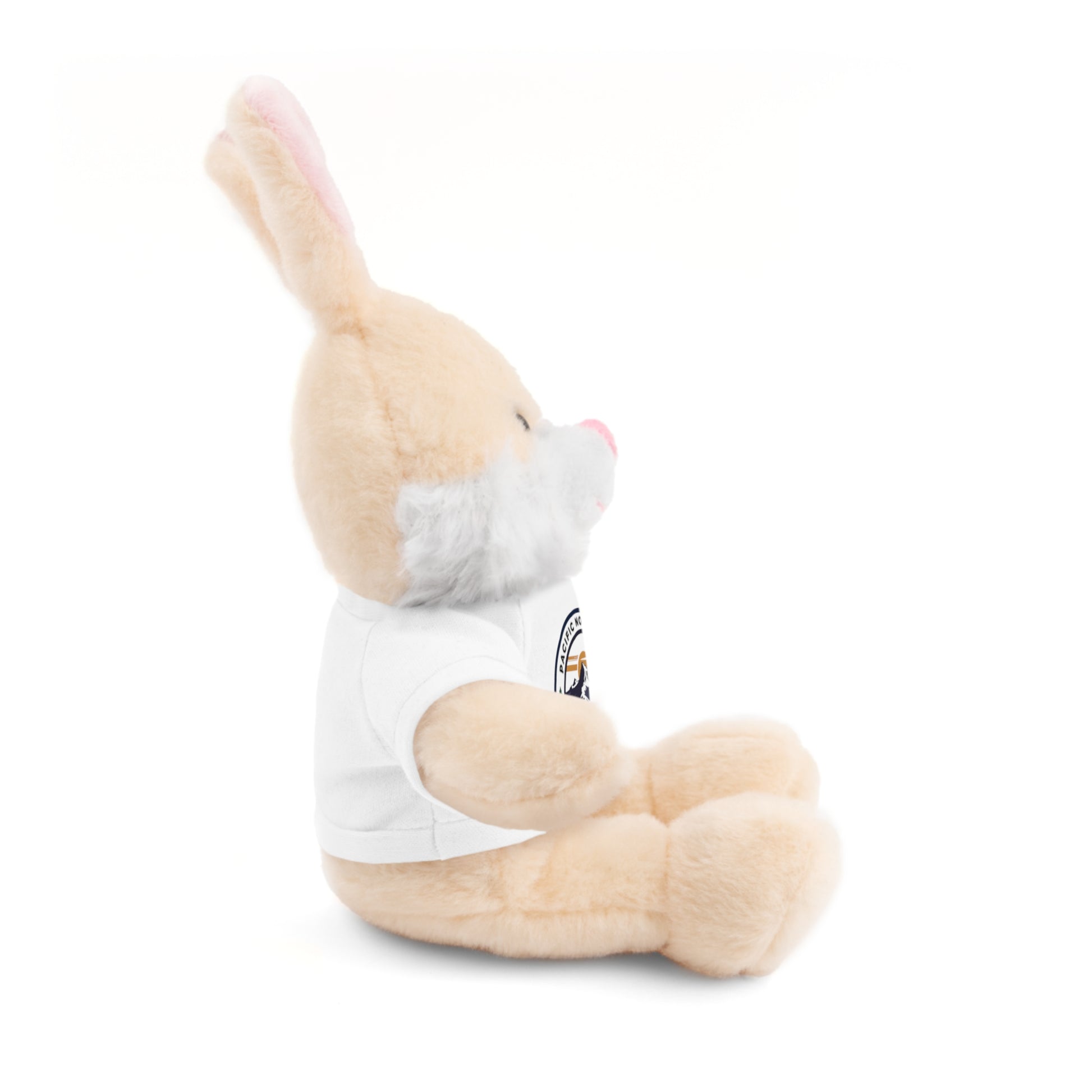 PNW Vibes Only Plush Bear